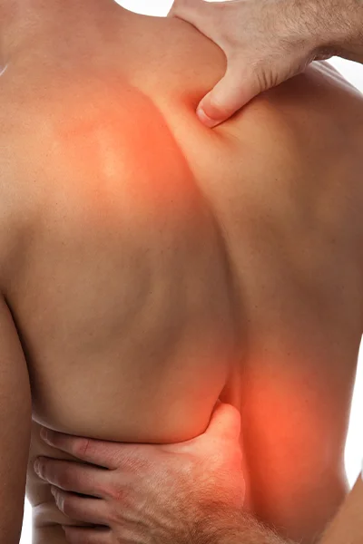 ortopédia, hát, derék, gerinc fájdalmak