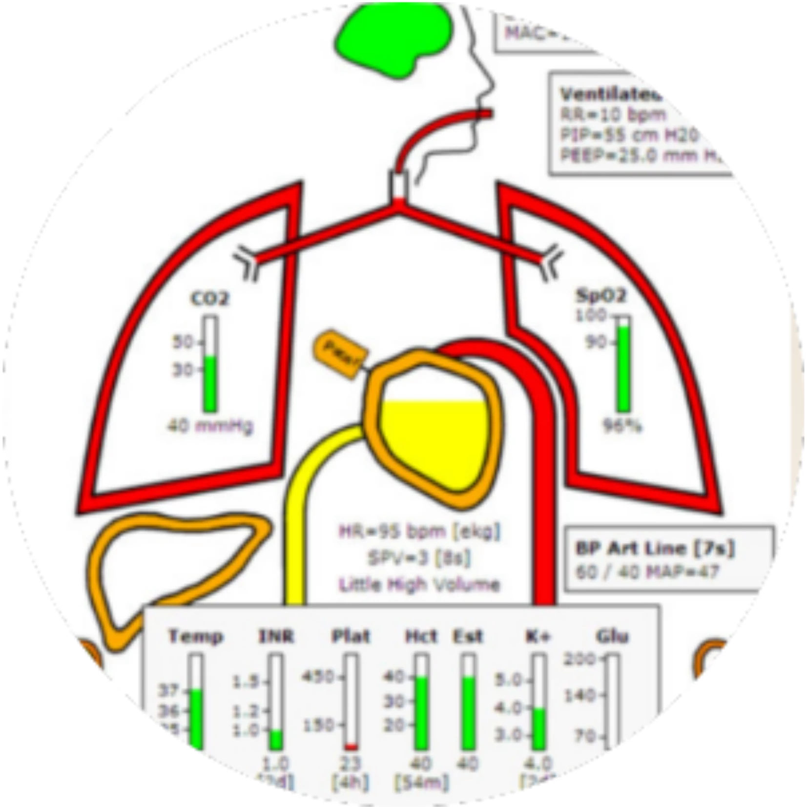 Társbetegségek kivizsgálása