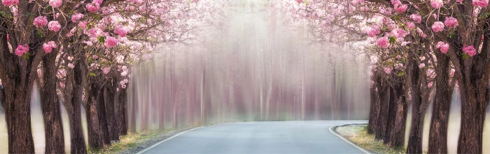 Műtét kedvezmény Tavaszi protézis műtét kedvezmény