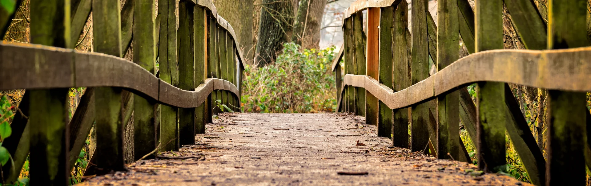 Fájdalommentesen - László története