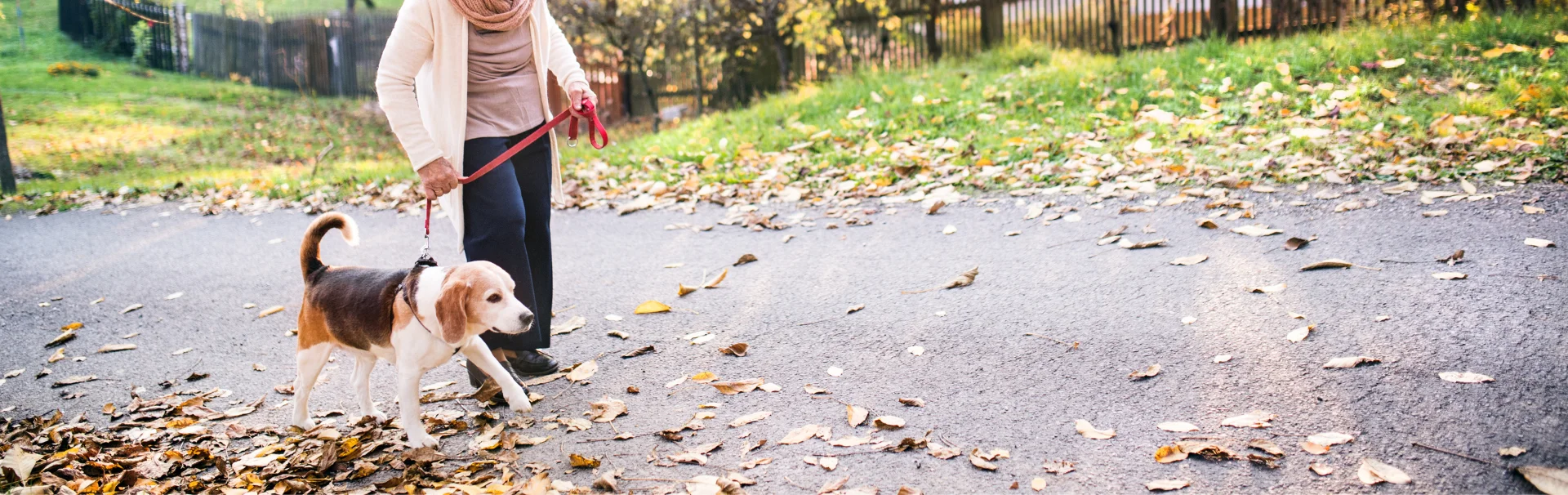 Ujjászületés csipőprotézis műtét után